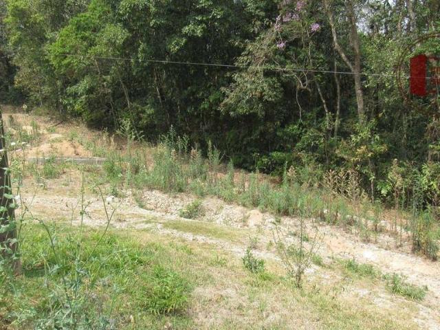 Sítio / Chácara para Venda em Piedade/SP Zona Rural