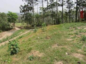 Sítio / Chácara para Venda em Piedade/SP Zona Rural