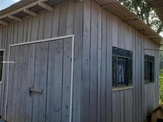 Sítio / Chácara para Venda em Piên/PR Avencal 2 Quartos