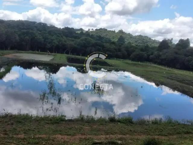 Sítio / Chácara para Venda em Piên/PR Centro