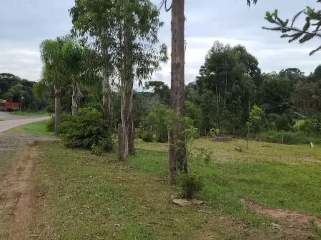 Sítio / Chácara para Venda em Piên/PR Zona Rural