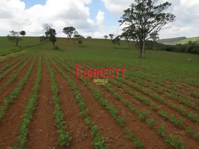 Sítio / Chácara para Venda em Pimenta/MG Zona Rural 1 Quartos