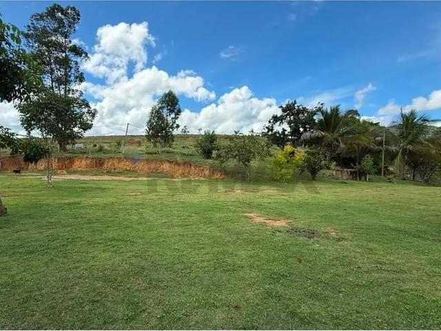 Sítio / Chácara para Venda em Pingo D'Água/MG Centro