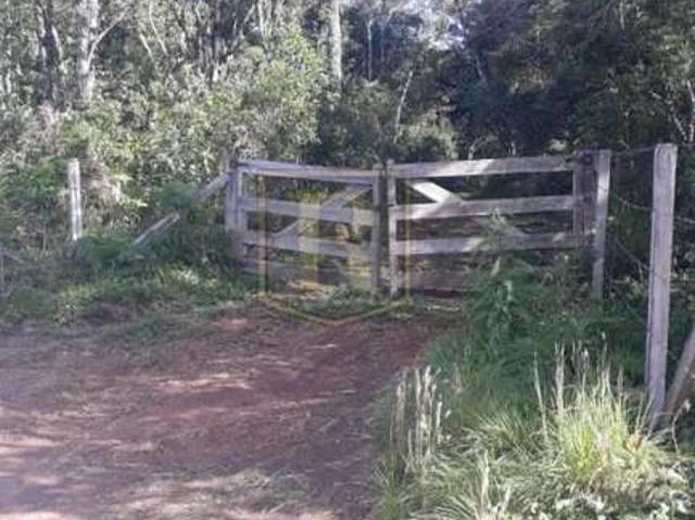 Sítio / Chácara para Venda em Pinhão/PR Área Rural