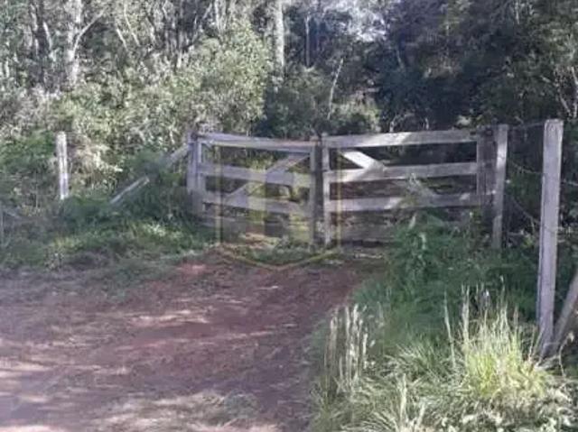 Sítio / Chácara para Venda em Pinhão/PR Área Rural