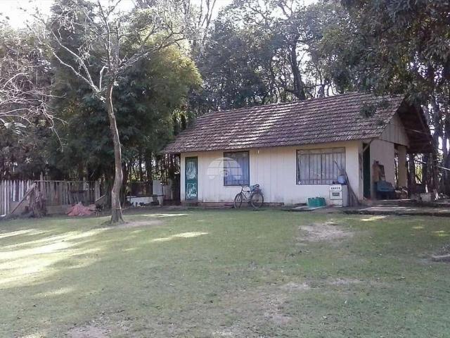 Sítio / Chácara para Venda em Pinhais/PR Jardim Karla