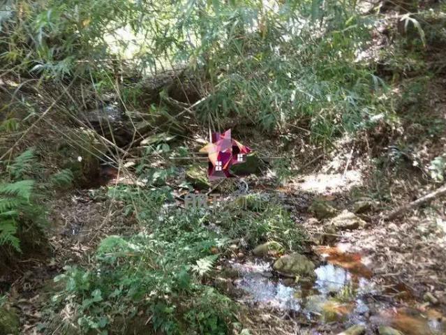 Sítio / Chácara para Venda em Pinhalzinho/SP Área Rural de Pinhalzinho