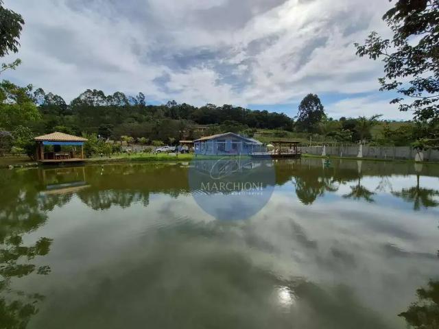 Sítio / Chácara para Venda em Pinhalzinho/SP Jardim Império 4 Quartos