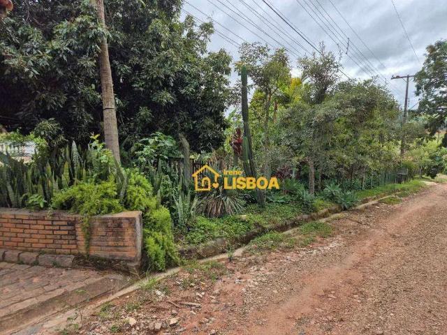Sítio / Chácara para Venda em Pinhalzinho/SP Rosa Mendes 4 Quartos