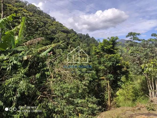 Sítio / Chácara para Venda em Piquete/SP Zona Rural 3 Quartos