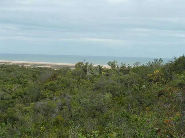 Sítio / Chácara para Venda em Pirambu/SE Zona Rural