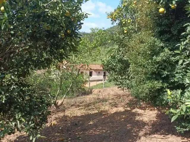 Sítio / Chácara para Venda em Piranga/MG Pinheiro Altos
