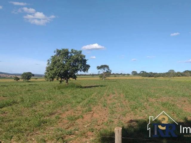 Sítio / Chácara para Venda em Piracanjuba/GO Zona Rural 4 Quartos