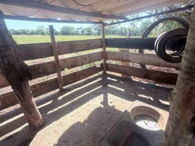 Sítio / Chácara para Venda em Piracanjuba/GO Centro 2 Quartos