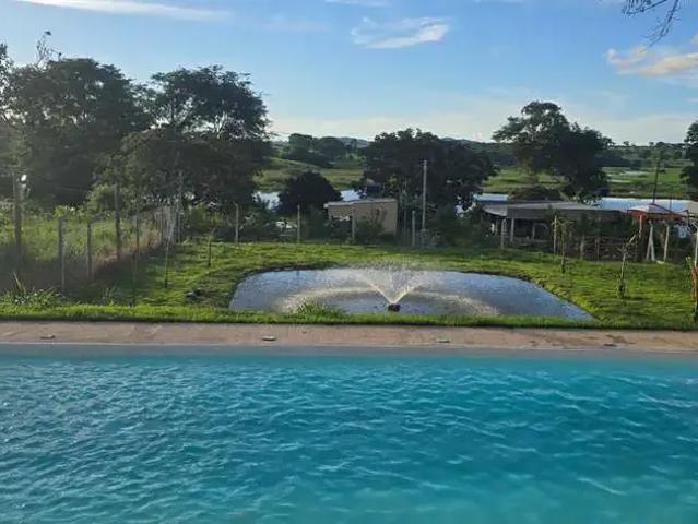 Sítio / Chácara para Venda em Piracanjuba/GO Rochedo 5 Quartos