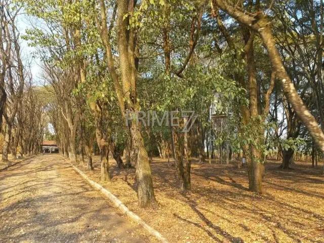 Sítio / Chácara para Venda em Piracicaba/SP Campestre 8 Quartos