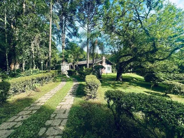 Sítio / Chácara para Venda em Piraquara/PR Colônia Santa Maria 4 Quartos