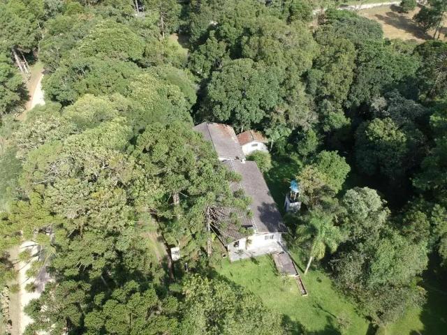 Sítio / Chácara para Venda em Piraquara/PR Colônia Santa Maria 4 Quartos