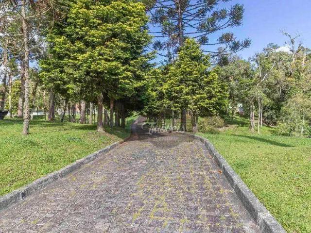 Sítio / Chácara para Venda em Piraquara/PR Borda do Campo 4 Quartos