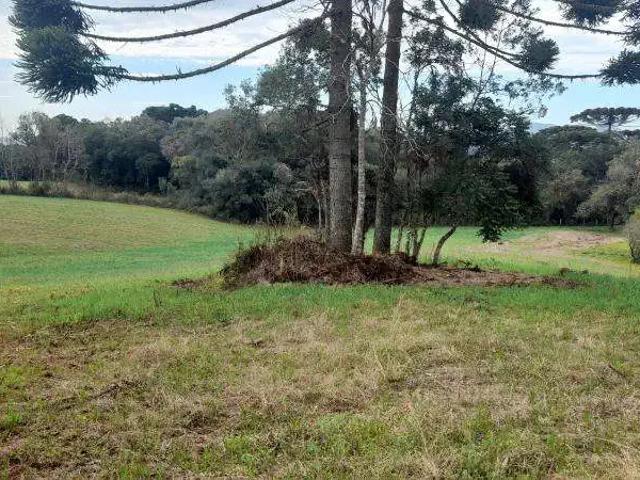 Sítio / Chácara para Venda em Piraquara/PR Jardim Diguimabri 1 Quartos