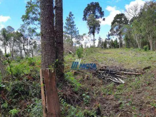 Sítio / Chácara para Venda em Piraquara/PR Planta Laranjeiras 1 Quartos