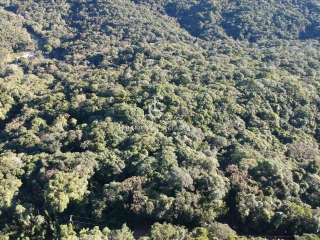 Sítio / Chácara para Venda em Piraquara/PR Recreio da Serra