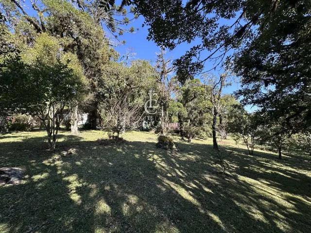 Sítio / Chácara para Venda em Piraquara/PR Recreio da Serra 3 Quartos