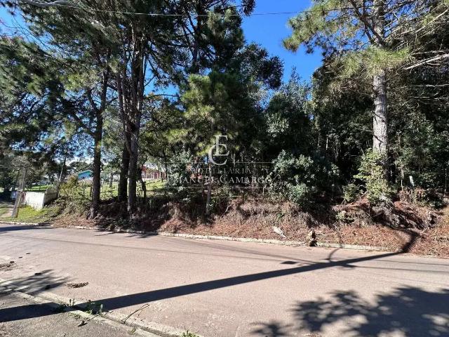 Sítio / Chácara para Venda em Piraquara/PR Vila Fuck