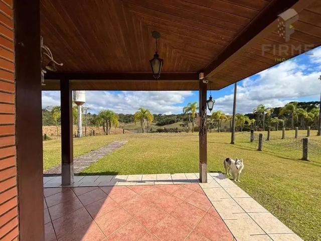 Sítio / Chácara para Venda em Piraquara/PR Vila Rosa