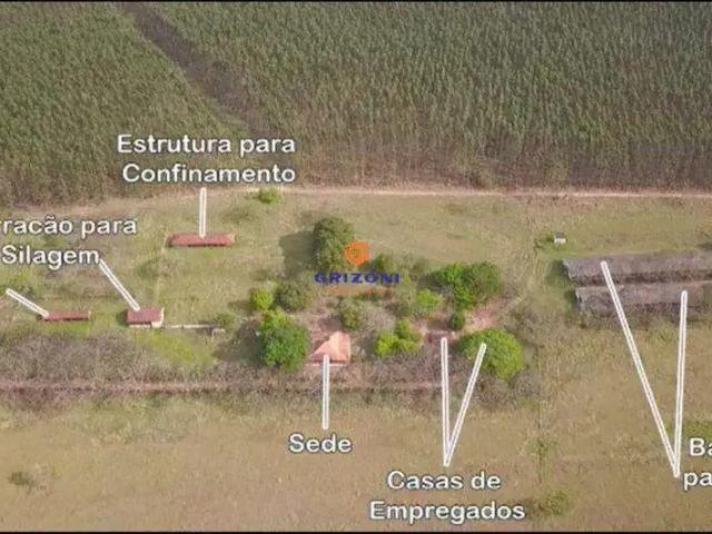 Sítio / Chácara para Venda em Piratininga/SP Zona Rural 3 Quartos