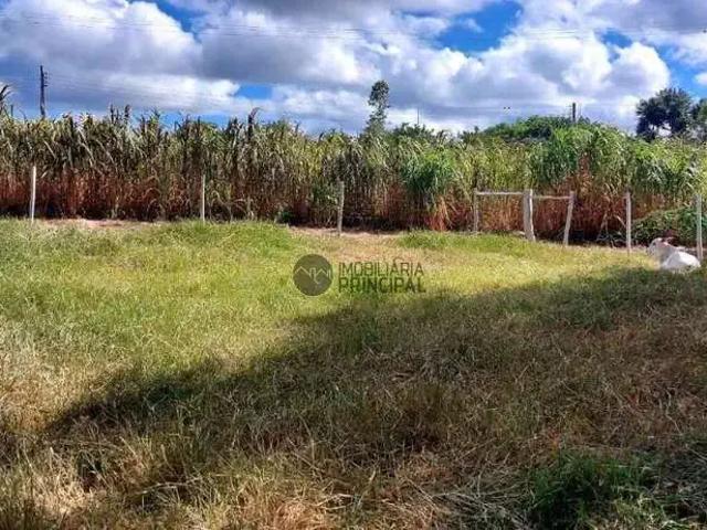 Sítio / Chácara para Venda em Piratininga/SP Centro