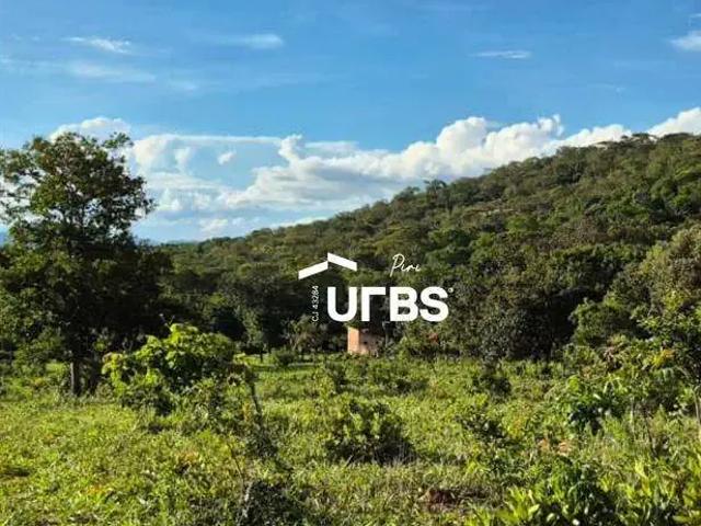 Sítio / Chácara para Venda em Pirenópolis/GO Zona Rural