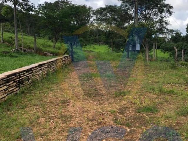 Sítio / Chácara para Venda em Pirenópolis/GO Área Rural de Pirenópolis 3 Quartos