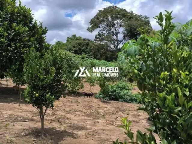 Sítio / Chácara para Venda em Planalto/BA Zona Rural 3 Quartos