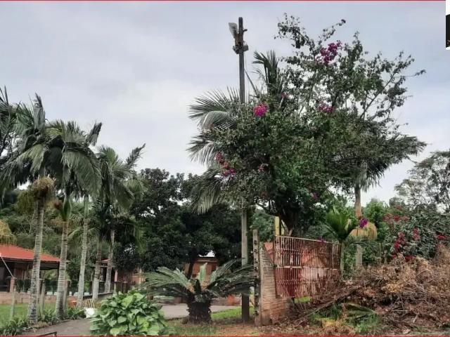 Sítio / Chácara para Venda em Planalto/PR Zona Rural 3 Quartos