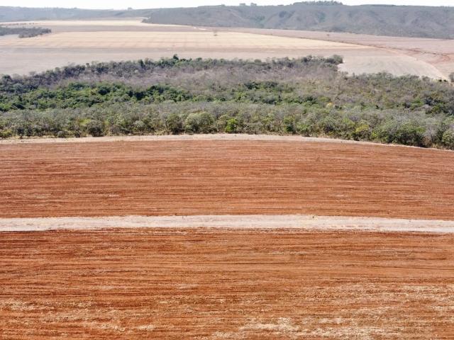 Sítio / Chácara para Venda em Planaltina/GO Área Rural de Planaltina