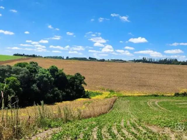 Sítio / Chácara para Venda em Prudentópolis/PR Centro