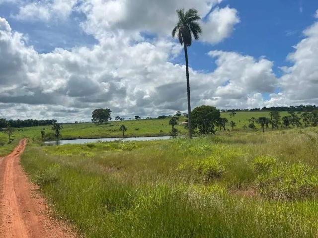 Sítio / Chácara para Venda em Prata/MG Zona Rural 1 Quartos