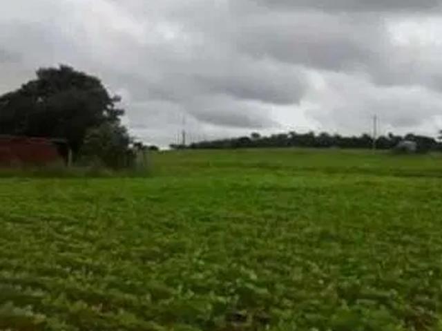 Sítio / Chácara para Venda em Prata/MG Zona Rural 1 Quartos