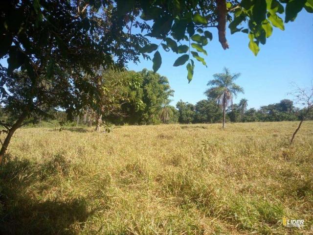 Sítio / Chácara para Venda em Prata/MG Zona Rural