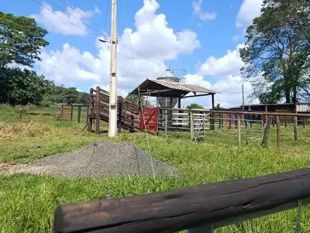 Sítio / Chácara para Venda em Prata/MG Zona Rural