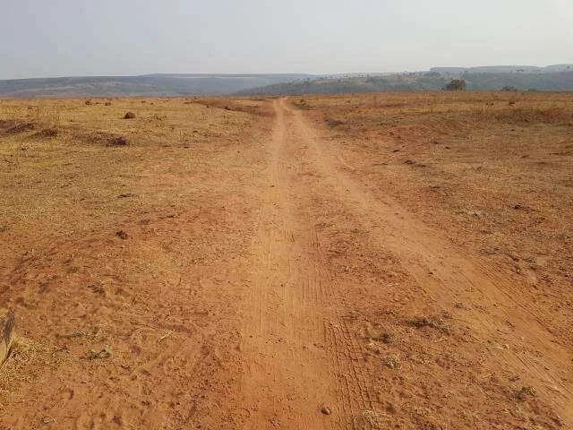 Sítio / Chácara para Venda em Prata/MG Zona Rural