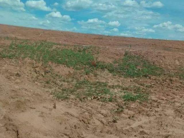 Sítio / Chácara para Venda em Prata/MG Zona Rural