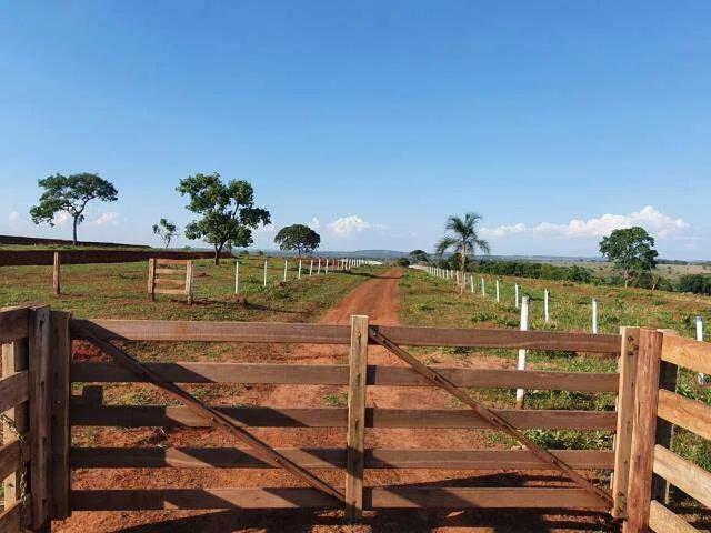 Sítio / Chácara para Venda em Prata/MG Zona Rural