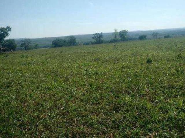 Sítio / Chácara para Venda em Prata/MG Zona Rural
