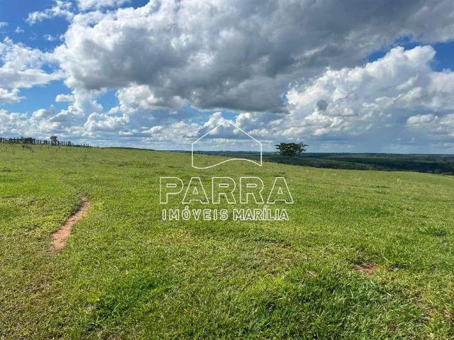 Sítio / Chácara para Venda em Presidente Alves/SP Zona Rural 1 Quartos