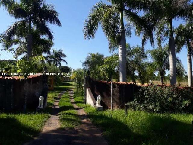Sítio / Chácara para Venda em Presidente Bernardes/SP Zona Rural 4 Quartos