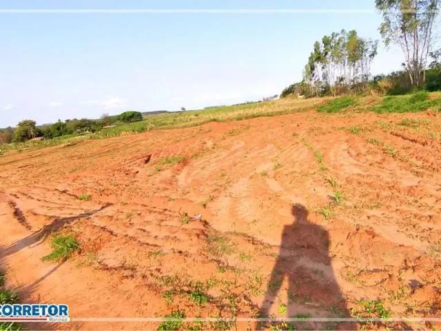 Sítio / Chácara para Venda em Presidente Castelo Branco/PR Zona Rural 3 Quartos