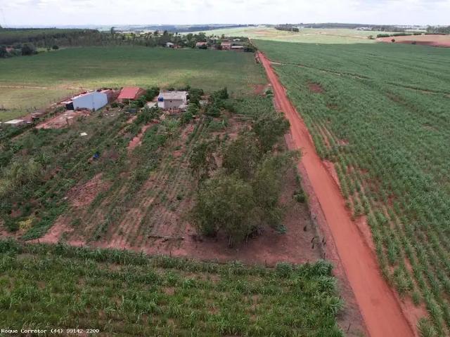 Sítio / Chácara para Venda em Presidente Castelo Branco/PR Zona Rural 2 Quartos