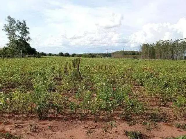 Sítio / Chácara para Venda em Presidente Castelo Branco/PR Zona Rural